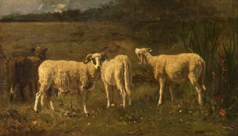 Pecore - Kelvingrove Art Gallery and Museum, Glasgow